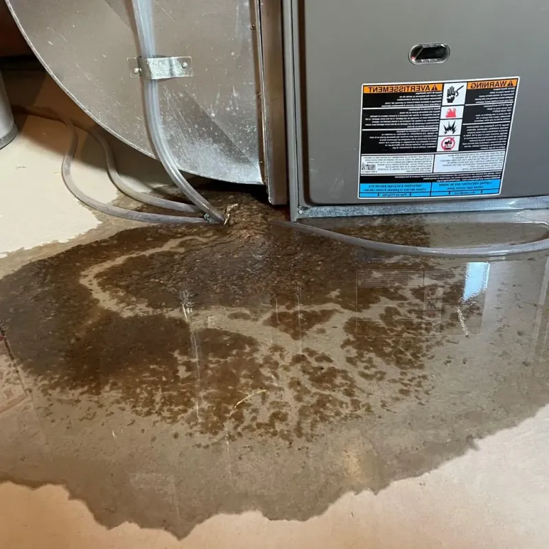 Pipe Burst and Leak Restoration in Lincoln, RI