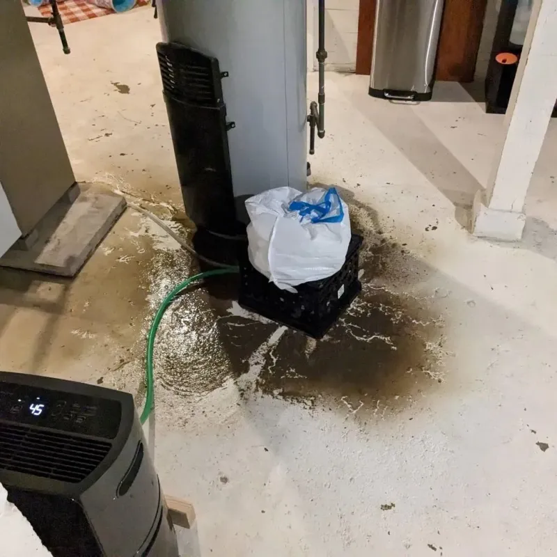 Sewage Backup Cleanup Service in Lincoln, RI